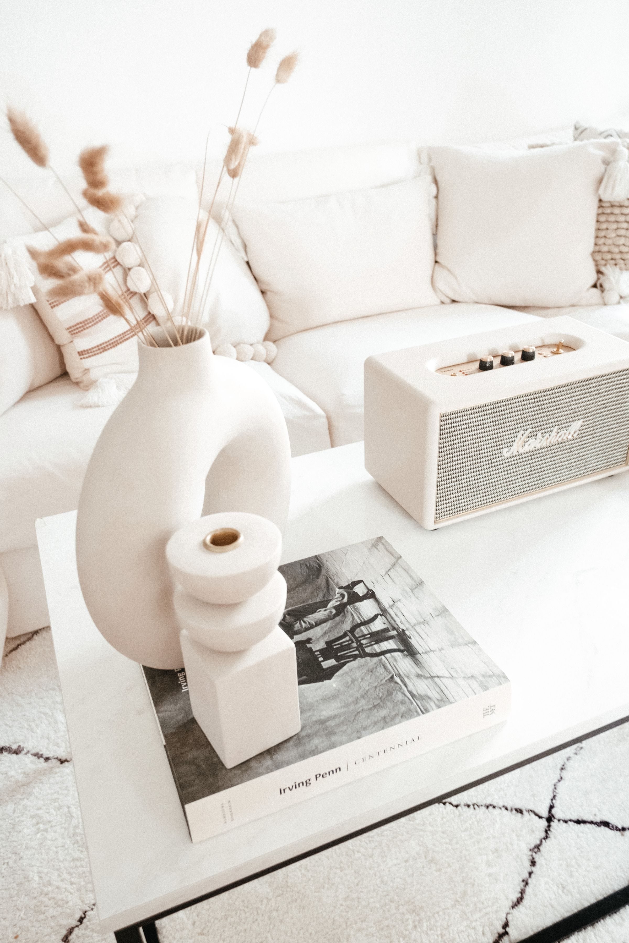 From above of vase with dried plants placed on white table with portable acoustic system n stylish room with couch
