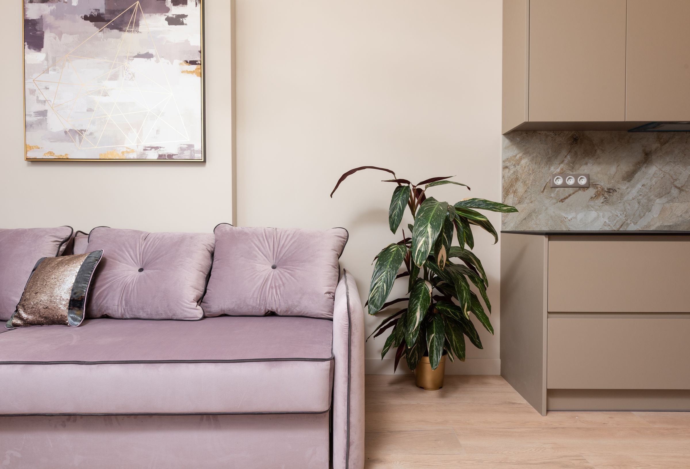 Interior of contemporary house with sofa with pillows under painting near potted green plant next to open kitchen with cupboards